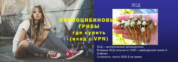 мяу мяу мука Каменка