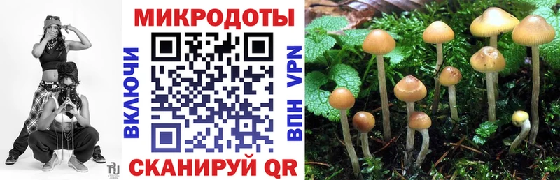 где можно купить   Добрянка  Галлюциногенные грибы Magic Shrooms 