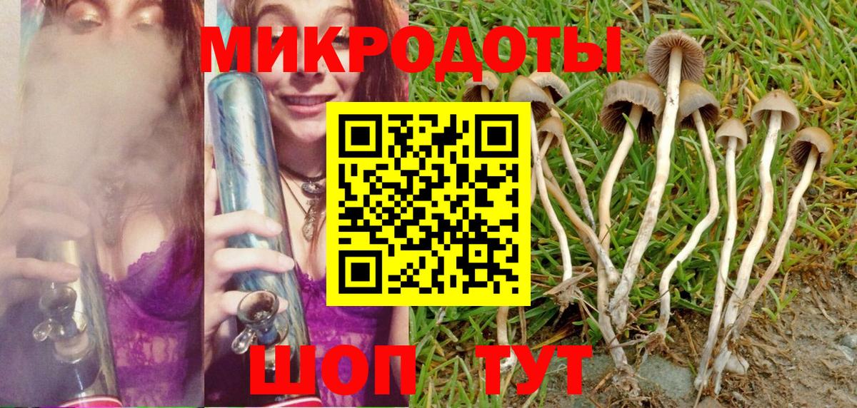 Галлюциногенные грибы MAGIC MUSHROOMS  Вход с VPN  Добрянка 